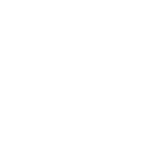 File:Github-mark-white.png