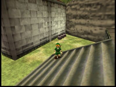 Kak guards house pots